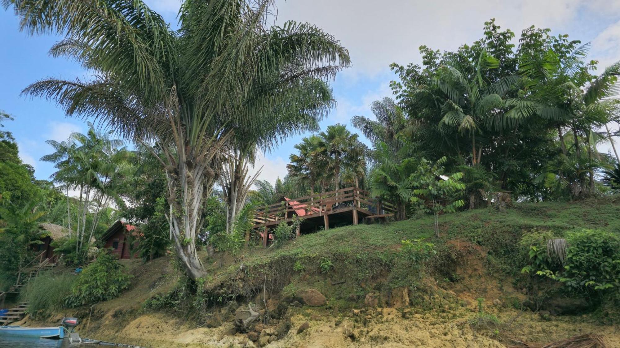 Greenheart Boutique Hotel Paramaribo Eksteriør billede